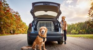 Hundebox: Der ultimative Ratgeber fürs Auto Für Hunde muss die Hundebox im Auto groß genug und sicher befestigt sein. Foto: Ocean23