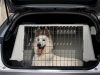 Hundetransportbox: Mehr Sicherheit für Hund und Autofahrer Bei dieser Hundetransportbox passt alles perfekt. Foto: Adobe / Marcella Miriello
