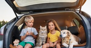 Tiere im Auto: Kinder, Katzen, Hunde – die besten Tipps zur Unfallvermeidung Kinder und Tiere im Auto: Ja, das kriegt man hin. Foto: Ocean23