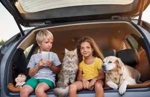 Tiere im Auto: Kinder, Katzen, Hunde – die besten Tipps zur Unfallvermeidung Kinder und Tiere im Auto: Ja, das kriegt man hin. Foto: Ocean23