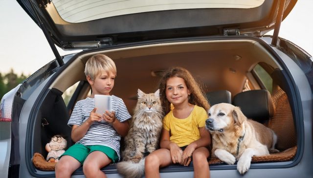 Kinder und Tiere im Auto: Ja, das kriegt man hin. Foto: Ocean23