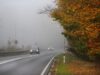 Wie man bei nebligem und regnerischem Wetter Auto fährt Foto: Adobe / Юлия Ткачева