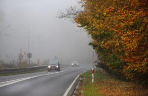 Wie man bei nebligem und regnerischem Wetter Auto fährt Foto: Adobe / Юлия Ткачева