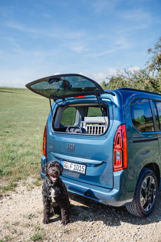 Schwarzer Hund sitzt vor dem Heck des Fiat Qubo L mit geöffnetem Heckfenster