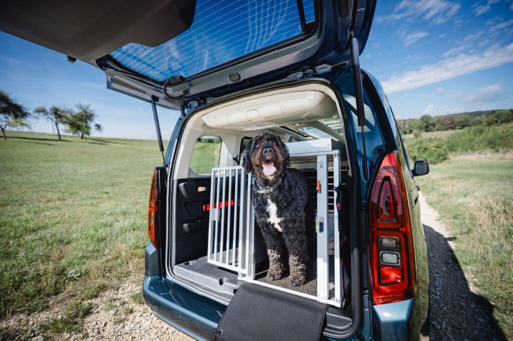 Schwarzer Hund in einer Transportbox im Kofferraum des Fiat Qubo L bei geöffneter Heckklappe