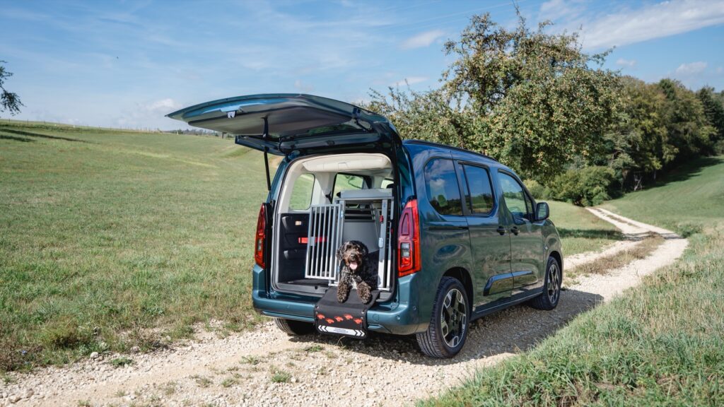 Fiat Qubo L mit geöffneter Heckklappe und Hund in der Transportbox auf einem Feldweg