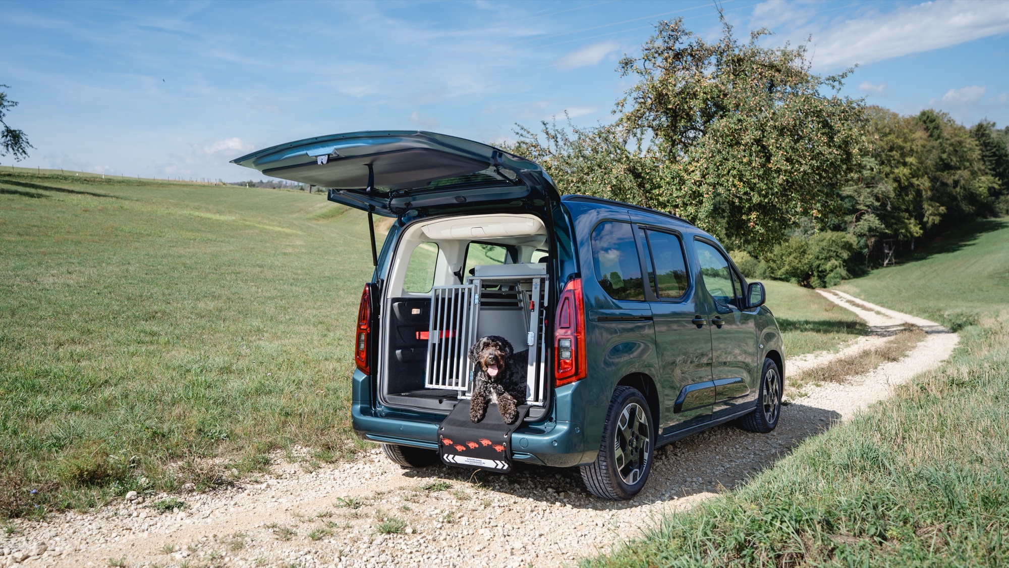 Welthundetag: Fiat zeigt den Qubo L als Auto für Hundehalter